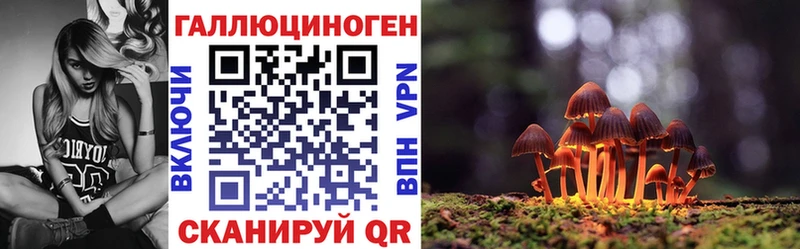 Галлюциногенные грибы мицелий цена Наволоки